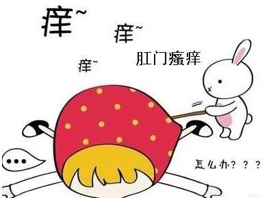 太原肛肠医院：比“菊花残”更恐怖的是“菊花痒”
