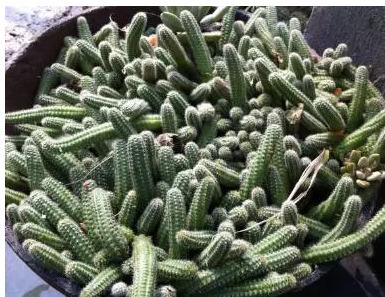 山西肛泰肛肠医院：患有肛门瘙痒的都应该看看！