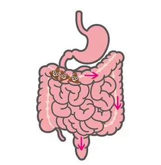 山西肛泰肛肠医院：总感觉便便没拉干净，这是啥毛病？